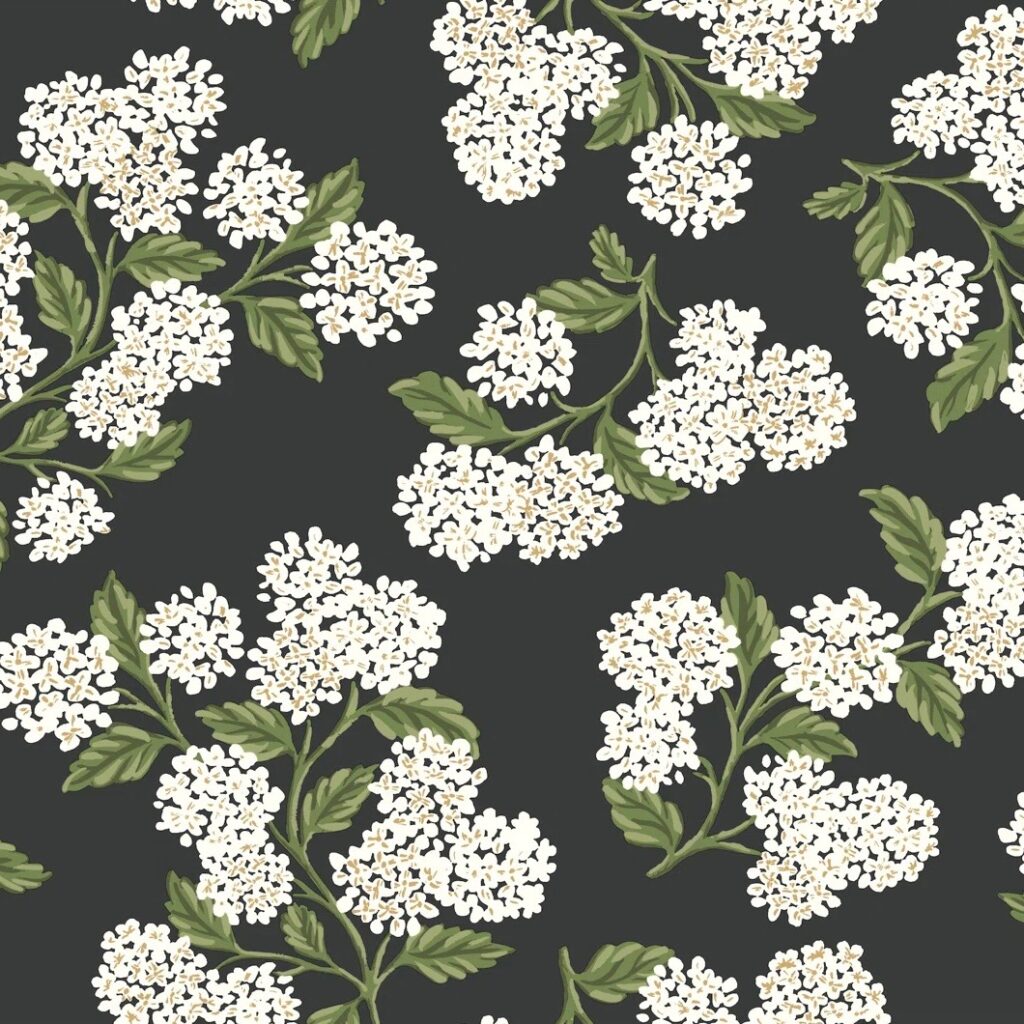 White hydrangeas on black background for transitional bathroom