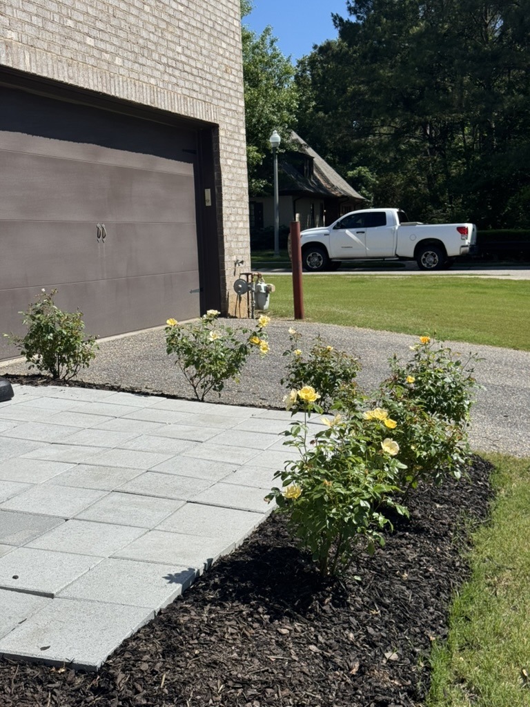 Yellow knockout roses surrounding a patio for an inviting outdoor escape