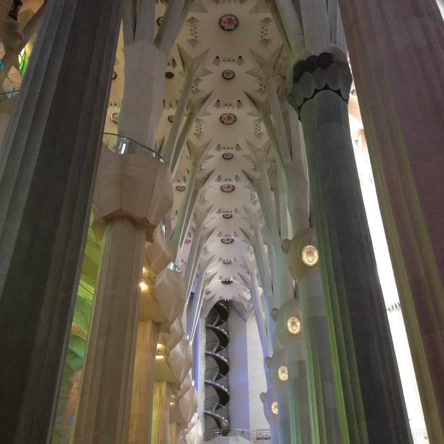 Columns resembling trees inside the Sagrada Família