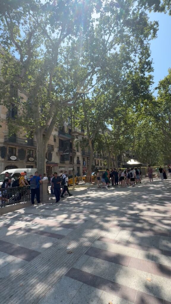 Street lined pedestrian street known as La Rambla